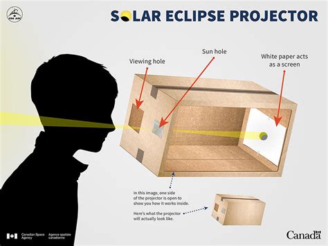 How to make your pinhole projector for eclipse? | Canadian Space Agency ...