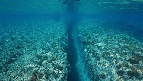 Here’s How Oceanic Trenches Are Formed – Nayturr