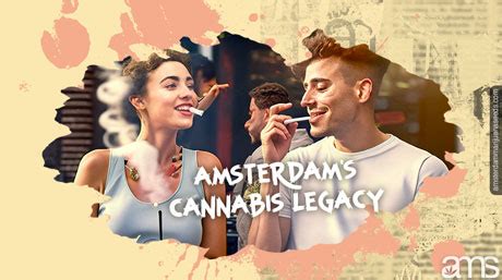 Unveiling the Legendary Amsterdam Weed Seeds: Unleash Your Inner ...