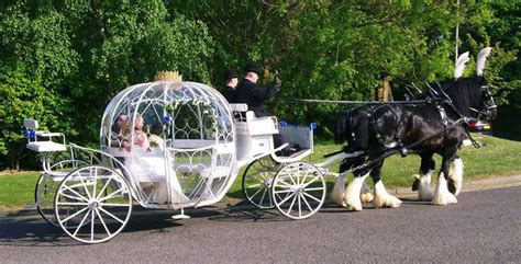 Wedding Horse Carriage