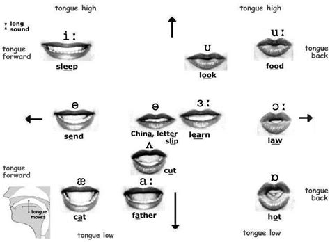 New Zealand Accent - Simple Vowels - The Voice Cafe