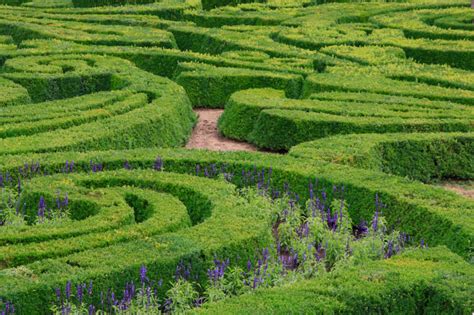 48 "Mind-Boggling" Hedge Maze & Garden Labyrinth Designs (Pictures)