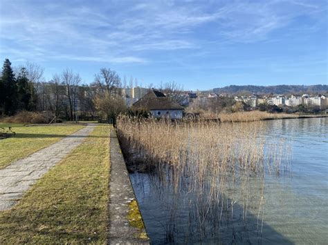 Lake Zurich Zuerichsee Oder Zürichsee and a Coastal Landscape with ...