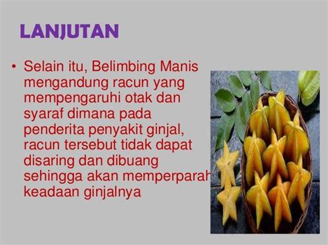 Manfaat buah belimbing manis serta bahaya belimbing manis AKPER PEMKA…