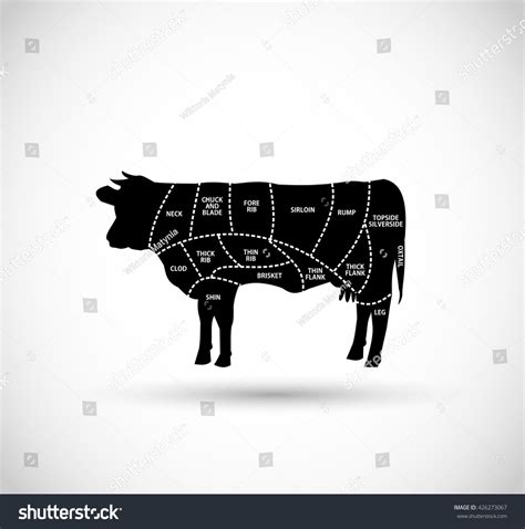 Beef Cuts Illustration Stock Illustration 426273067 | Shutterstock