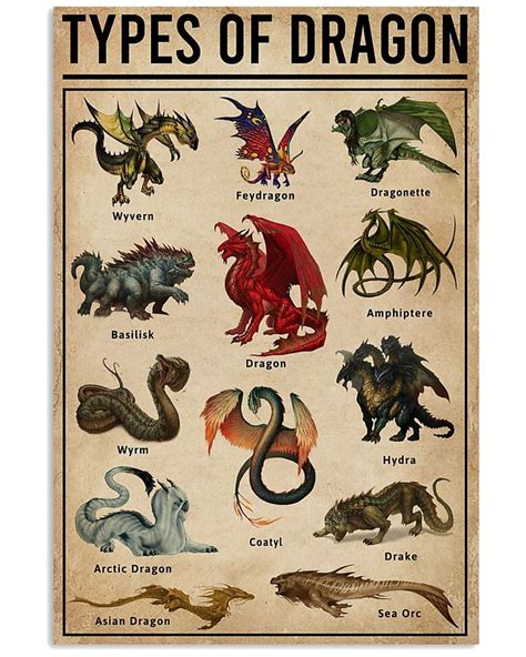 Types Of Dragon Unframed , Wrapped Canvas Wall Decor - Frame Not ...