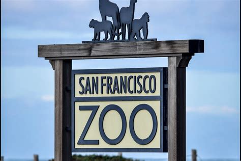 San Francisco Zoo Keeps Wild Animals Wild: Attractions Article by ...