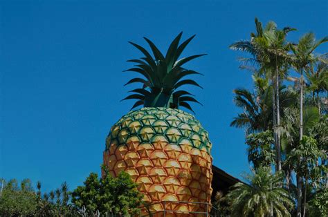 The Big Pineapple's $116 million revival