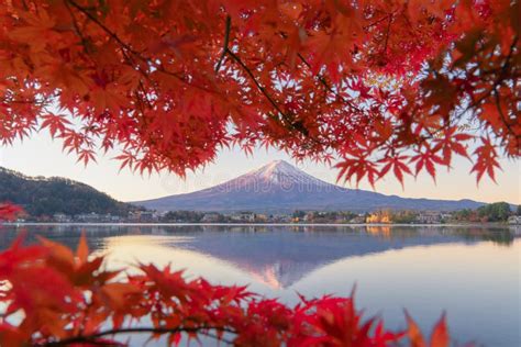 Mountain Fuji with Red Maple Leaves or Fall Foliage in Colorful Autumn ...