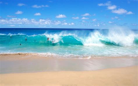 Beach Wave Scenery - Viewing Gallery