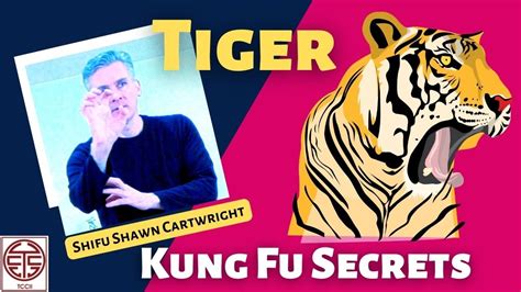 Tiger Kung Fu Style Animal Techniques & Applications - Kung Fu Secrets ...