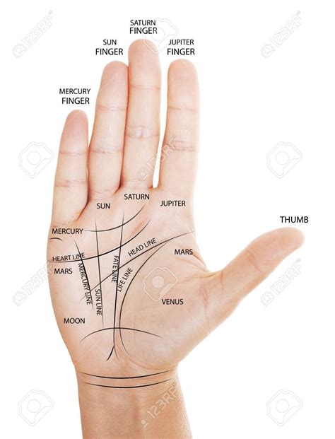 palm reading - Google Search | Palm reading, Palm reading charts, Palmistry