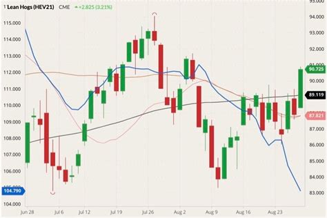 U.S. livestock: CME lean hogs rise, narrowing discount to cash market ...