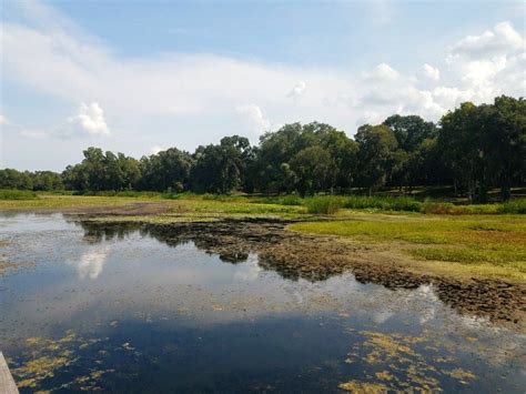 Brazos Bend State Park in Texas Bend, State Parks, Texas, River ...