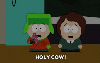 Holy Cow GIF - Holy Cow South Park Kenny - Discover & Share GIFs