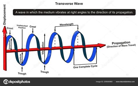 Transverse Wave Animation