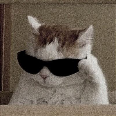 Create meme "cat with sunglasses meme, cool cat meme, pixel the cat in ...