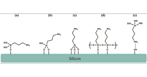 Molecular Structure of 3-Aminopropyltriethoxysilane Layers Formed on ...