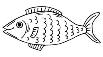 Outline Drawings Of Fish