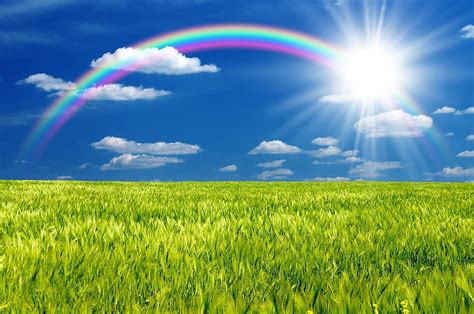 Rainbows: Sky Rainbow Clouds Sun Green Blue Grass HD wallpaper | Pxfuel