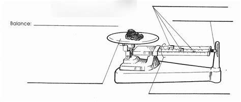 Balance Triple Beam Diagram | Quizlet