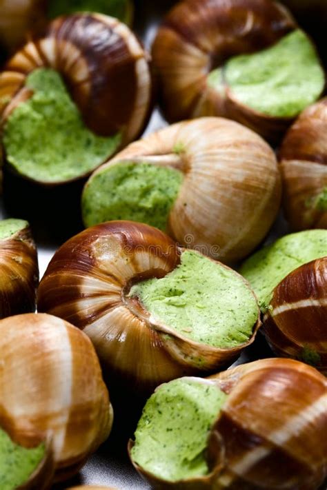 Edible snails stock photo. Image of tasteful, cuisine - 8081238