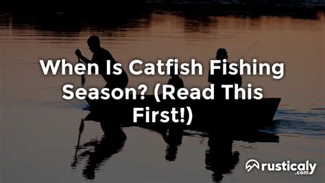 When Is Catfish Fishing Season? (Explained for Beginners)