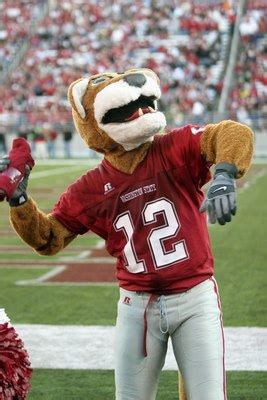 Pac-12 Football: Ranking the Conference's Mascots | Bleacher Report