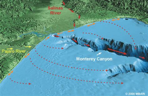 Monterey Bay - California: Submarine Canyon