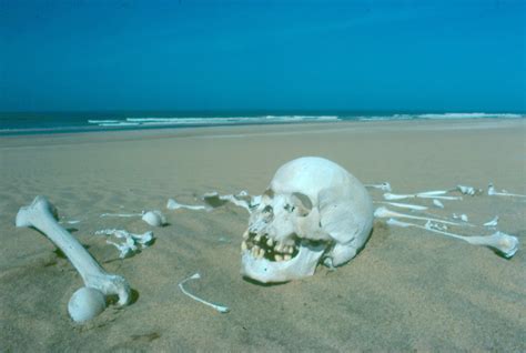 Namibia Reservations: The Skeleton Coast of Namibia