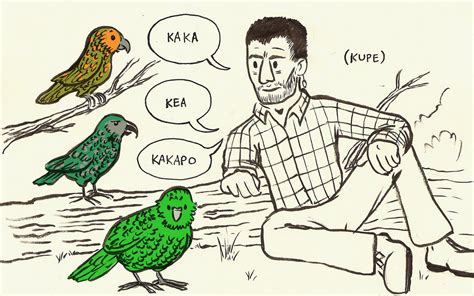 Satisfactory Comics: Animal Alphabet: K is for Kaka, Kea, and Kakapo