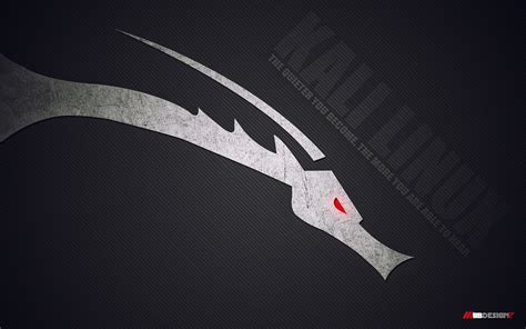 🔥 [45+] Kali Linux Wallpapers | WallpaperSafari