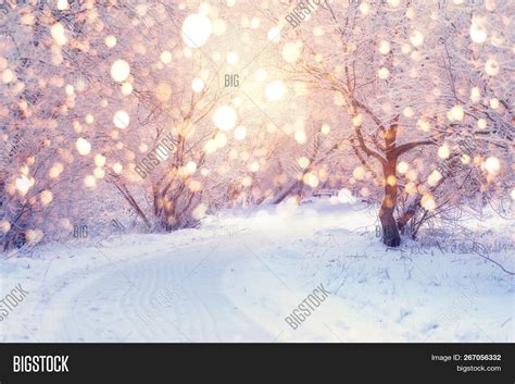 Winter Wonderland. Image & Photo (Free Trial) | Bigstock