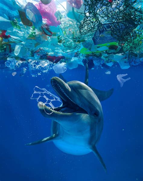 Ocean Trash: 5.25 Trillion Pieces and Counting, but Big Questions Rem ...