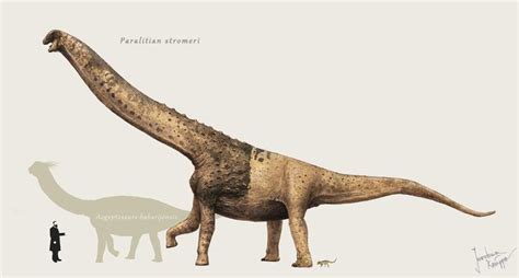 Paralititan by Hyrotrioskjan on deviantART | Prehistoric animals ...