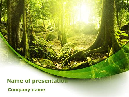 Jungle Forest Presentation Template for PowerPoint and Keynote | PPT Star