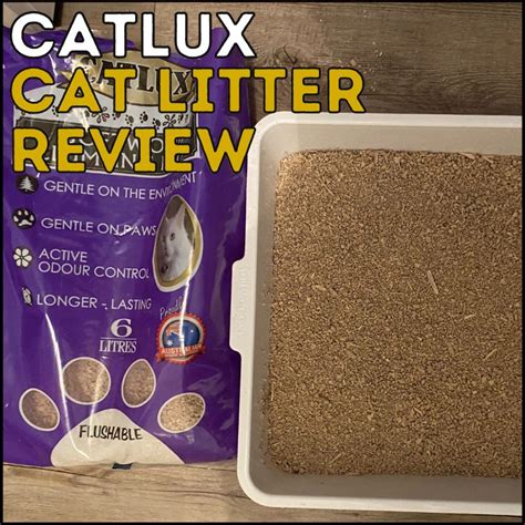 Honest Catlux Cat Litter Review (Tested With Cats) in 2024