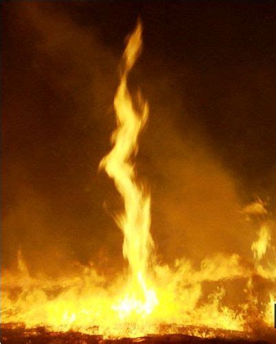 10 Facts about Fire Tornadoes | Facts and Fun