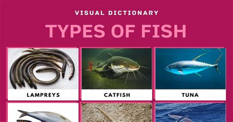 50 Unbelievable Interesting Facts About Fishes You Must Know - 2024