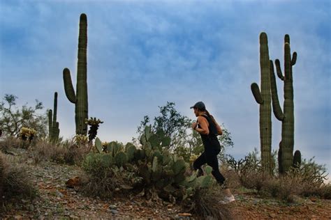 5 Best Hiking Trails in Scottsdale | Meridian CondoResorts