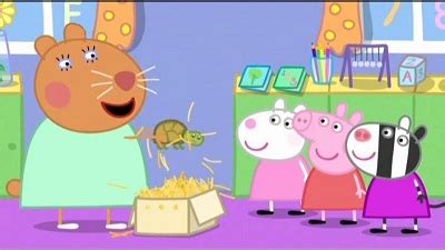 Peppa Pig - Doctor Hamster's Tortoise - TheTVDB.com