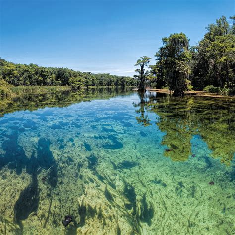 Edward Ball Wakulla Springs State Park | Central Florida Photo Ops