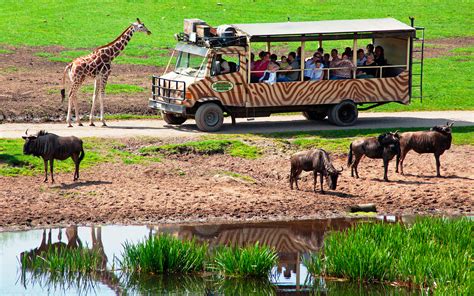 Tanzania Budget Safari | Tanzania Budget Tours | Tanzania Safaris Tours