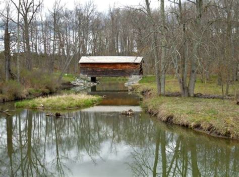 New Multi-sensory Trail At Glimmerglass State Park