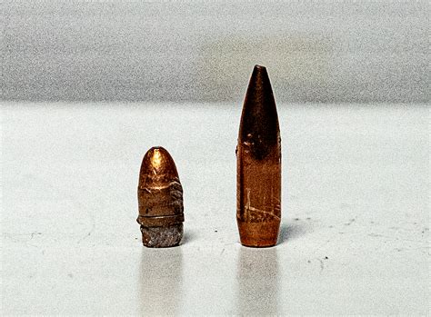 22LR vs 223 | Ballistics and Common Uses Compared