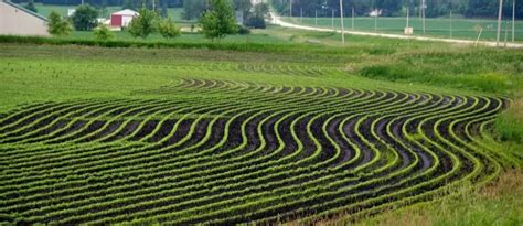 Contour Farming Advantages What It Is And Why We Use It