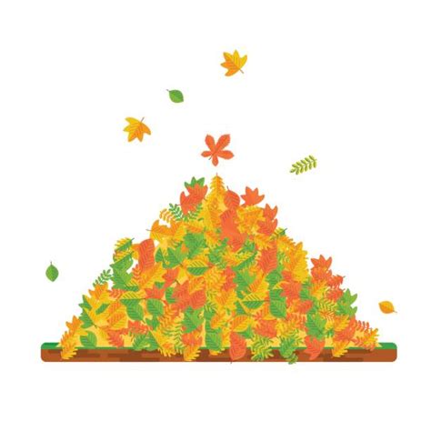 Royalty Free Raking Leaves Clip Art, Vector Images & Illustrations - iStock