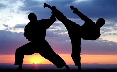 Discover the Most Practiced Martial Arts in the World of Sports ...