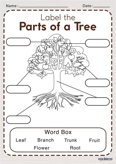 parts of a tree worksheet - Ideal E-Zine Photography