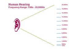 Sound Waves Revision Notes - Learn IGCSE Physics - OxNotes GCSE Revision